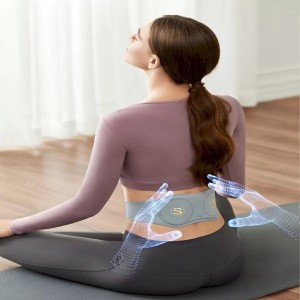 ماساژور حرفه ای قابل شارژ کمر برند SKG مدل W7