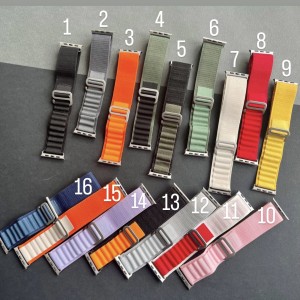 بند اپل واچ آلپاین مدل 46 سری 10