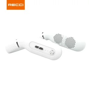 اسپیکر بلوتوثی RSK-W23 رسی (RECCI Beethoven Wireless Speaker RSK-W23)