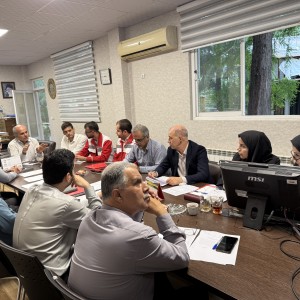 شال مبل ایران (رنگ مشکی)