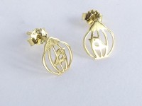 گلگوش قفس و پرنده