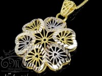 پلاک فیوژن قلبی