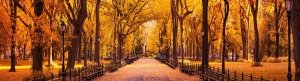 آرایش زیبا