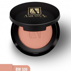 رژگونه آموتیا مدل پودری ویتامینE شماره BW530 حجم 5.5 گرم