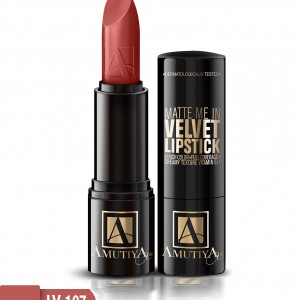 رژ لب آموتیا مدل استیک شمارهLV107 حجم 4.25 گرم