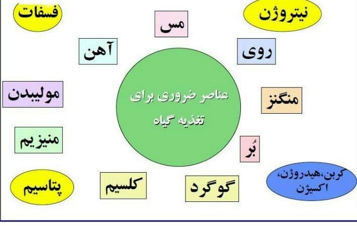 عناصر غذایی مورد نیاز گیاهان