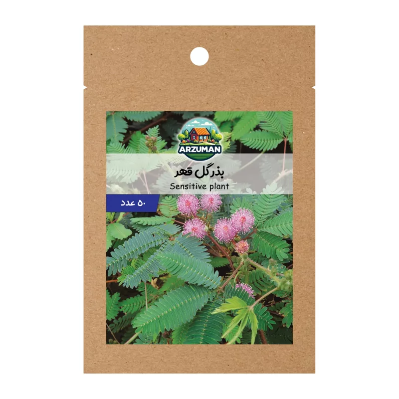 بذر گل قهر و آشتی پاکوتاه (گل حساس)