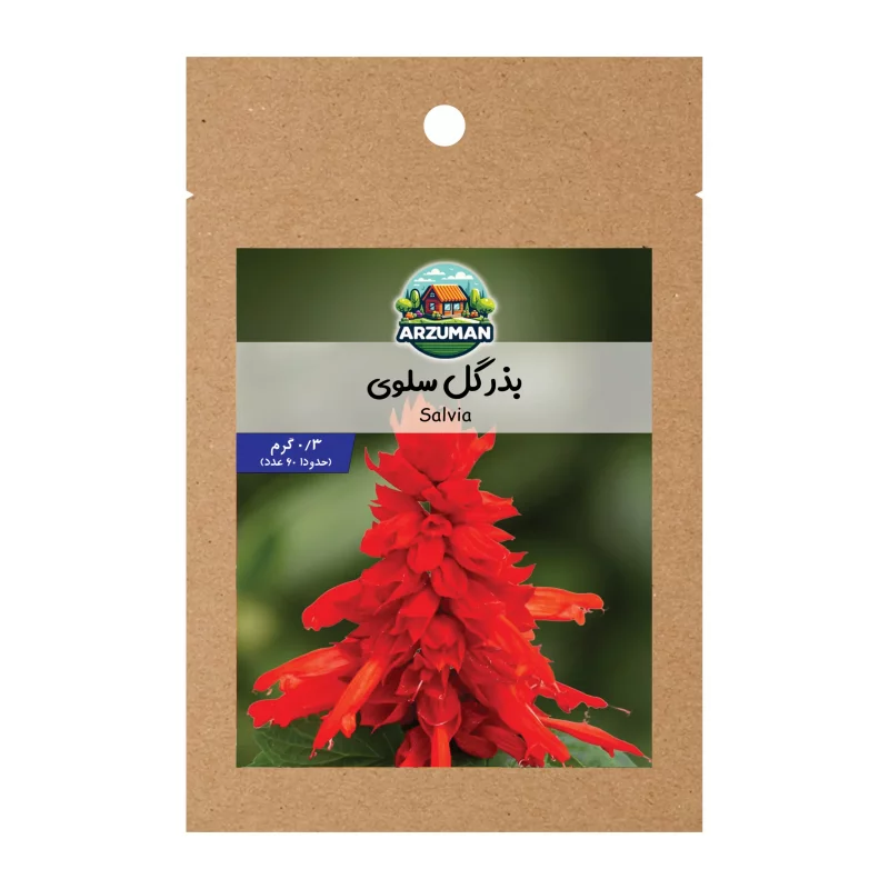 بذر گل سلوی قرمز