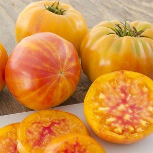 بذر گوجه فرنگی آناناسی 1