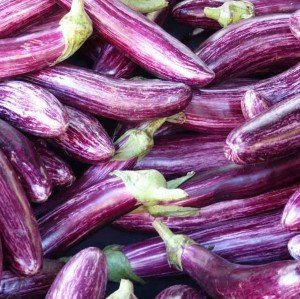 بذر بادمجان دو رنگ