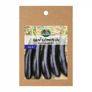 بادمجان آیدین