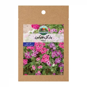 بذر گل فلوکس پاکوتاه