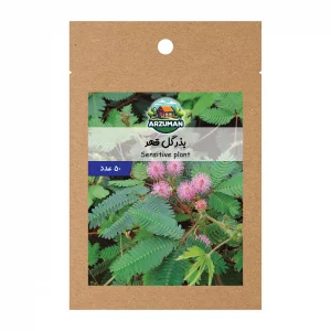 بذر گل قهر و آشتی پاکوتاه (گل حساس)