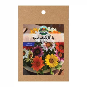 بذر گل گازانیا پاکوتاه