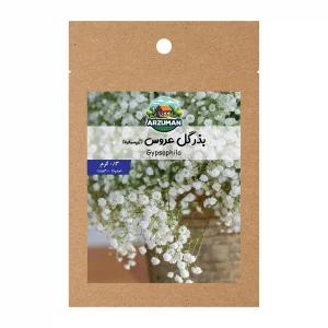 بذر گل عروس یا ژیپسوفیلا