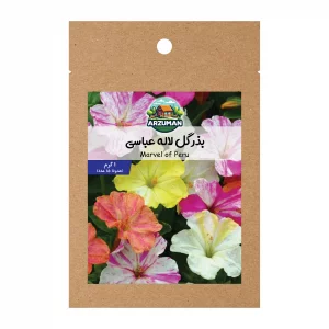 بذر گل لاله عباسی  پامتوسط