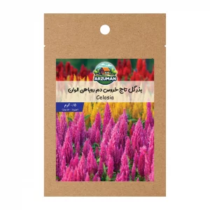 بذر گل تاج خروس افشان پامتوسط