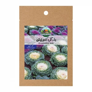 بذر کلم زینتی پاکوتاه