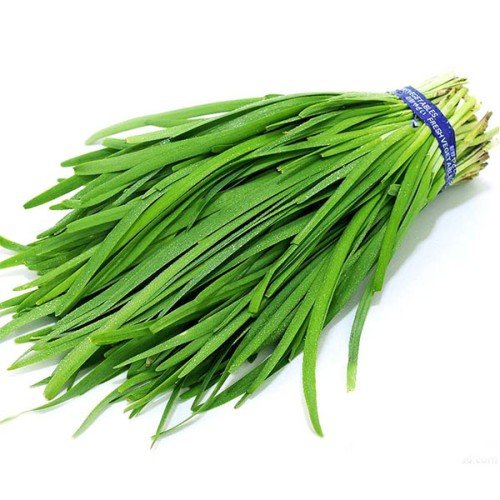 بذر تره 1