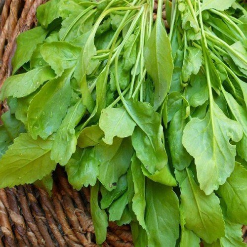 بذر شاهی 1