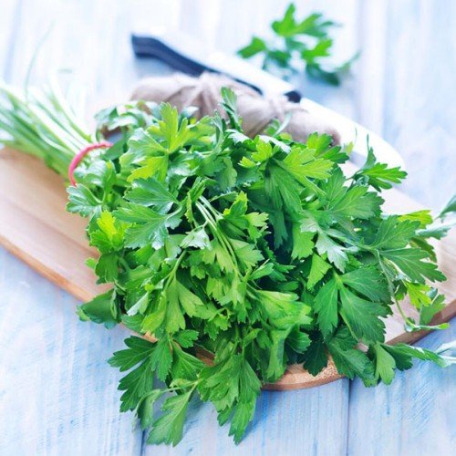 بذر جعفری 1