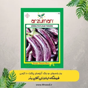 بذر بادمجان دو رنگ آرزومان
