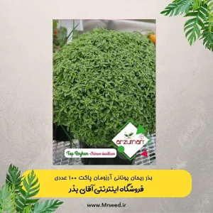 بذر ریحان یونانی آرزومان