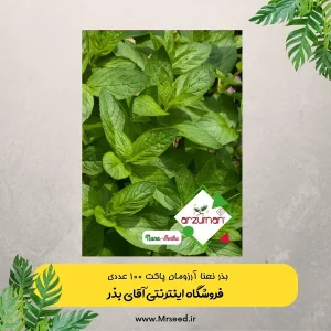 بذر نعناع آرزومان