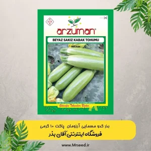 بذر کدو خورشتی آرزومان