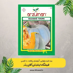 بذر کدو حلوایی آرزومان
