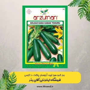 بذر کدو خورشتی تیره آرزومان