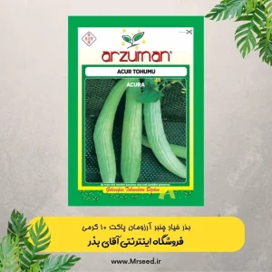 بذر خیار چنبر آرزومان