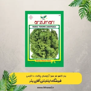 بذر کاهو فر سبز آرزومان