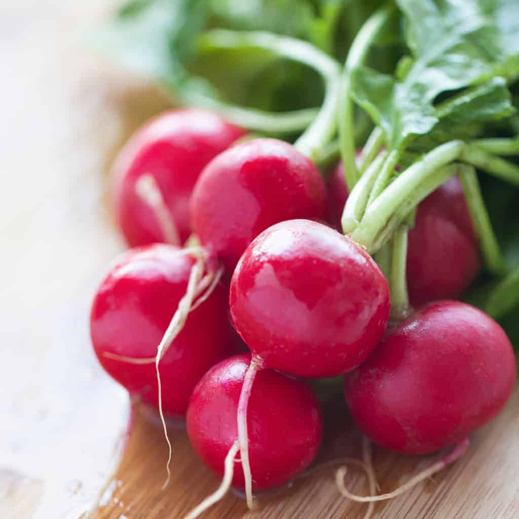 تربچه هیبرید Radish