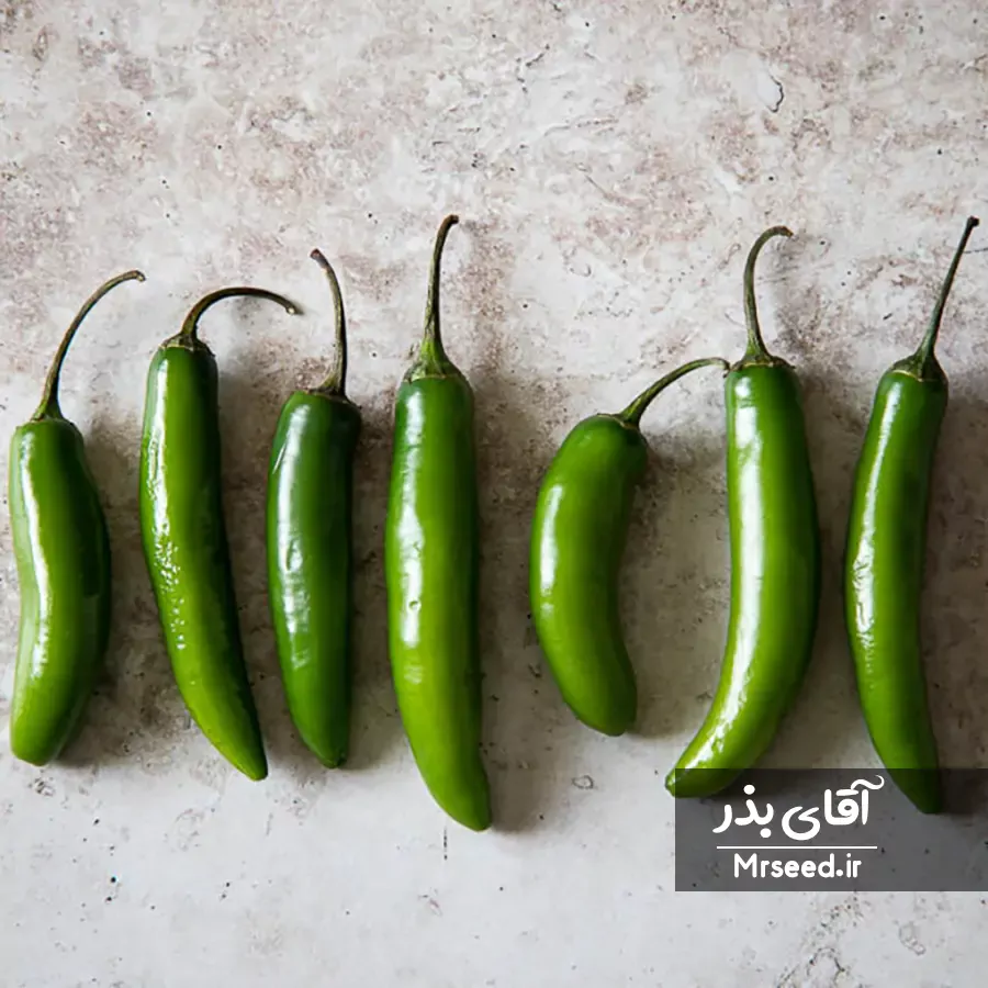 فلفل سرانو serrano pepper