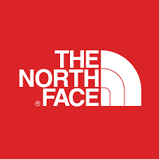 سوئیشرت هودی کانگرویی  THE NORTH  FACE