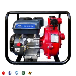 موتور پمپ ارتفاع بالا کلایمکس 2 اینچ 65 متری مدل CL-GWP-50H