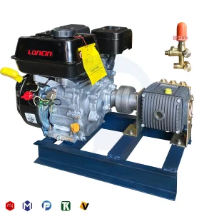 کارواش سیار بنزینی 110 بار برتولینی ایتالیا | موتور لانسین گیربکسدار مدل G200FC