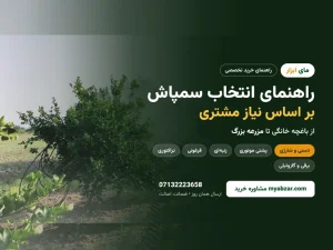 راهنمای انتخاب سمپاش بر اساس نیاز مشتری | از باغچه خانگی تا مزرعه بزرگ


اگر یک بار سمپاش اشتباه خریده باشید، خوب می‌دانید که مشکل فقط پول نیست؛ خستگی اپراتور، سوختن محصول، پاشش ناقص و خرابی زودهنگام دستگاه هم به آن اضافه می‌شود. در فروشگاه اینترنتی...