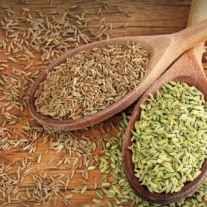 پودر چهارزیره