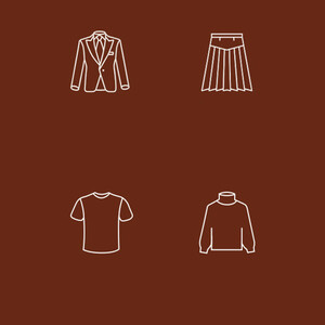 اتو بخار دستی شیائومی مدل HS300 چندکاره