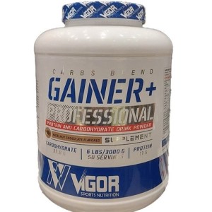 Vigor Gainer Plus 3000gr 2