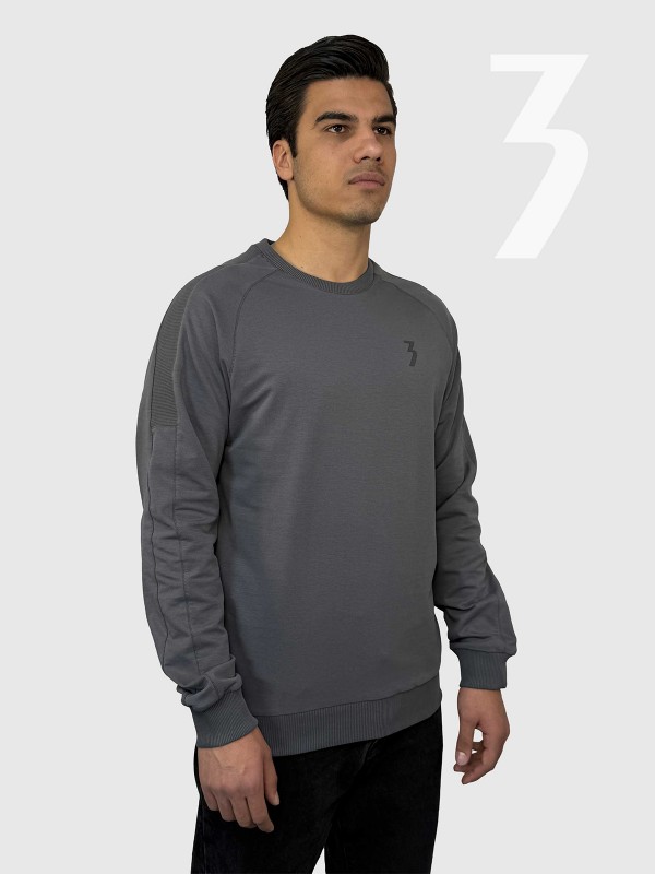 دورس مردانه Trainingطوسی تیره