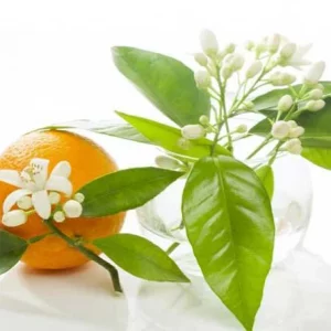 عطر گرمی گل بهار نارنج