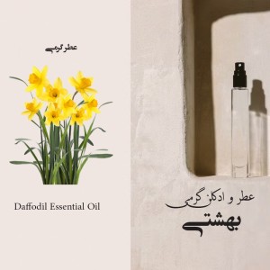 عطر گرمی گل نرگس (نارسیس)