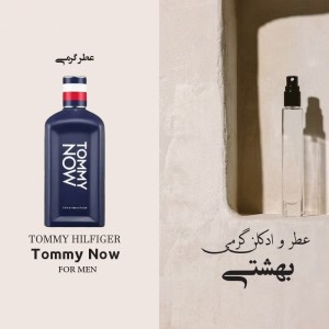 عطر گرمی تامی نیو