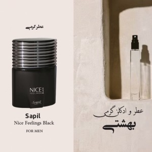 عطر گرمی نایس بلک