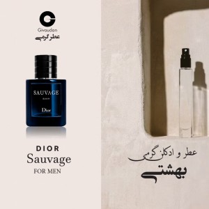 عطر گرمی ساواج دیور برند ژیودان