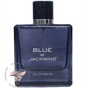 عطر ادوپرفیوم مردانه جانوین مدل Blue رایحه تلخ و خنک ۱۰۰ میلی لیتر