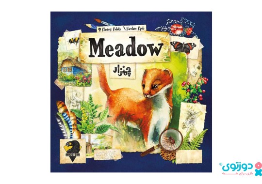 بازی فکری چمنزار (Meadow)